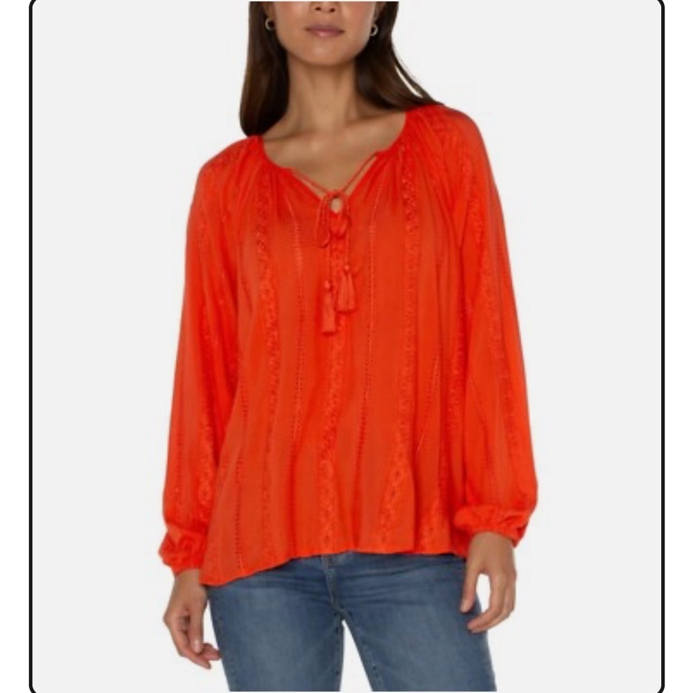 Liverpool Los Angeles Embroidered Shirred Blouse